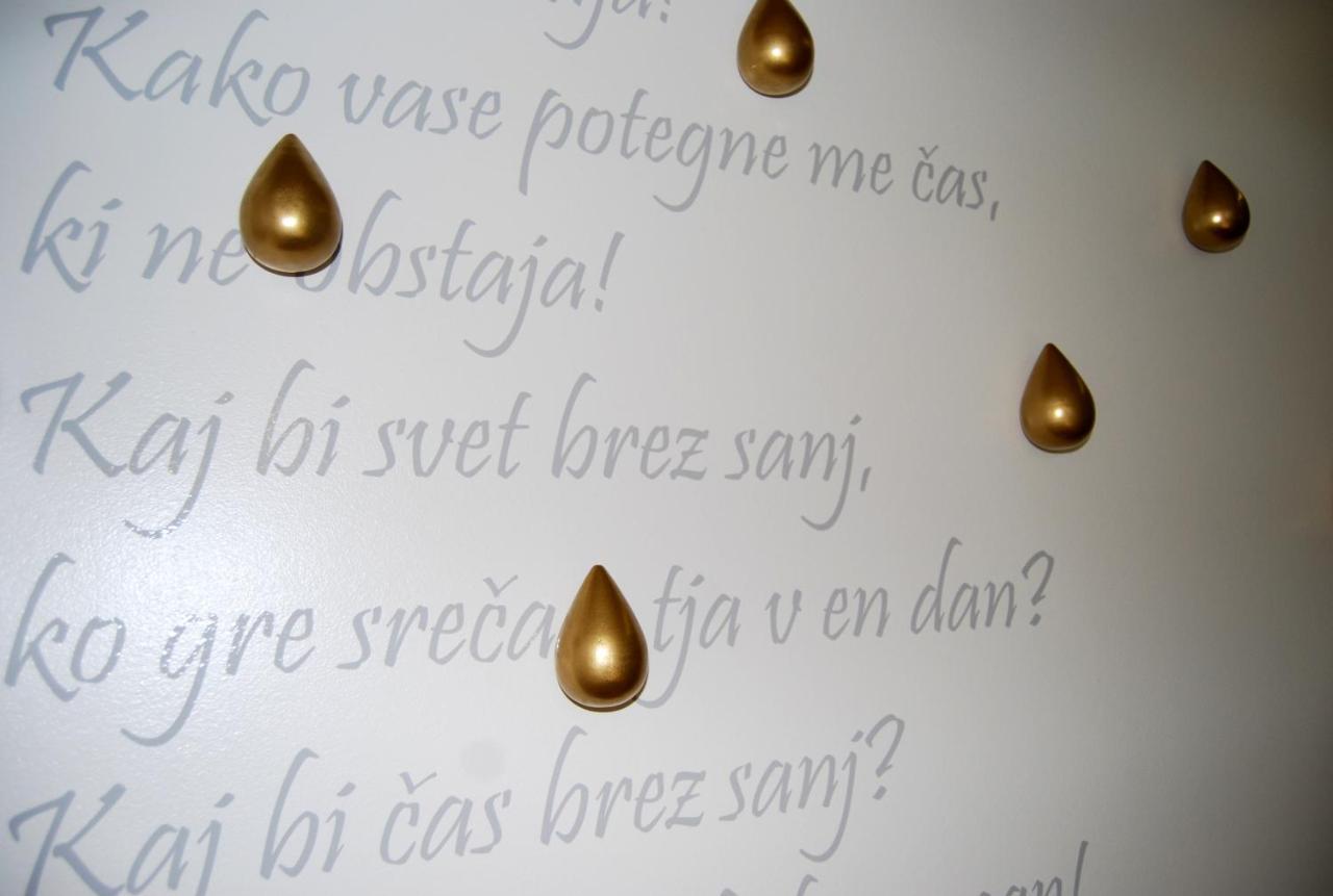 Slovenian Art Story Apartment Любляна Екстериор снимка