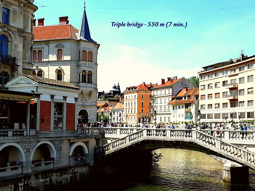 Slovenian Art Story Apartment Любляна Екстериор снимка