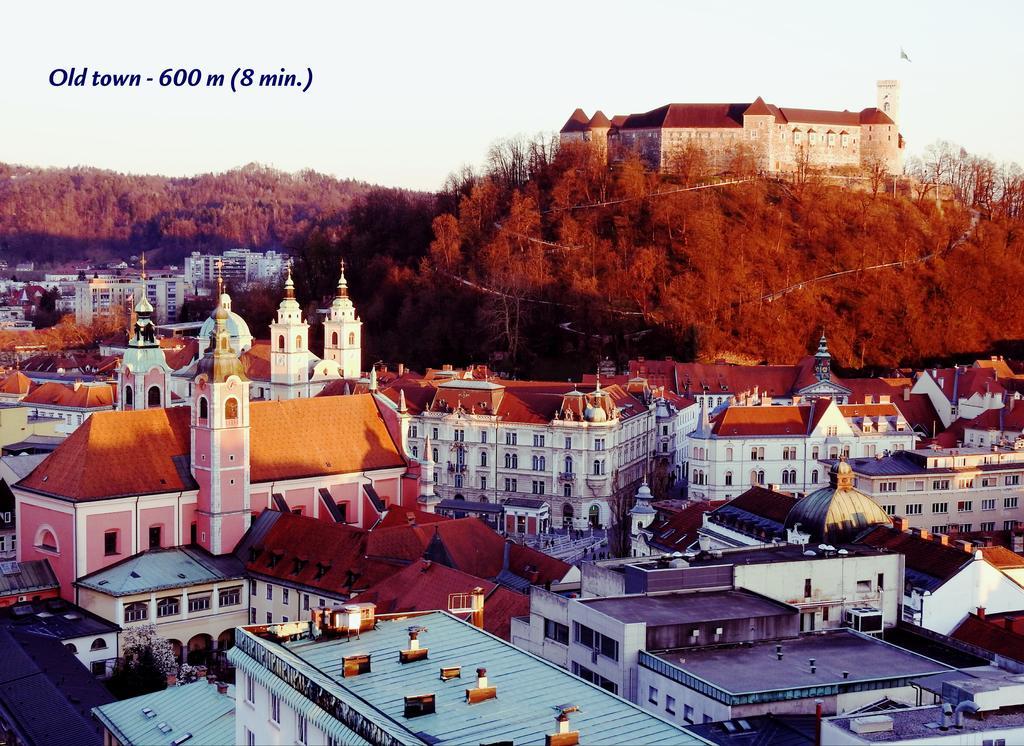 Slovenian Art Story Apartment Любляна Екстериор снимка